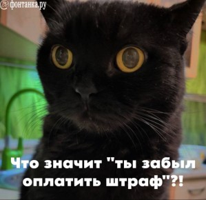 ����� �� �������� ������� ���� ����� �� �����? ��. �� ���� �����