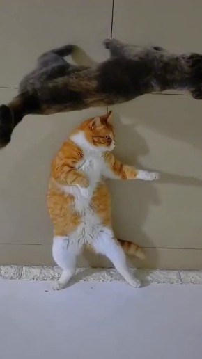 Всем прекрасного воскресенья, друзья!