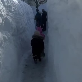 ������ ����� � ������� �������