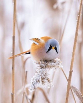 ������������� ������� ������� ��� ���� ��������� �� ������ ������� � ����� � ����������������