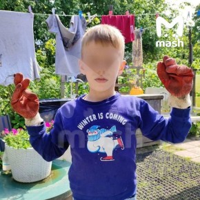 Задержанный похититель девятилетнего мальчика утопил ребёнка в посёлке Лужайка — в 162 км от Петербурга