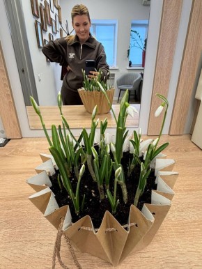 Подснежники в феврале