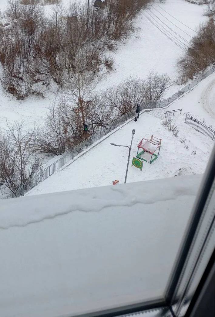 Дерево для ребёнка – доклад для чиновника