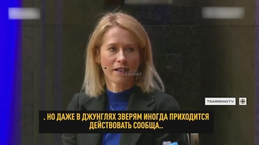 “У кого сила, тот возьмёт всё