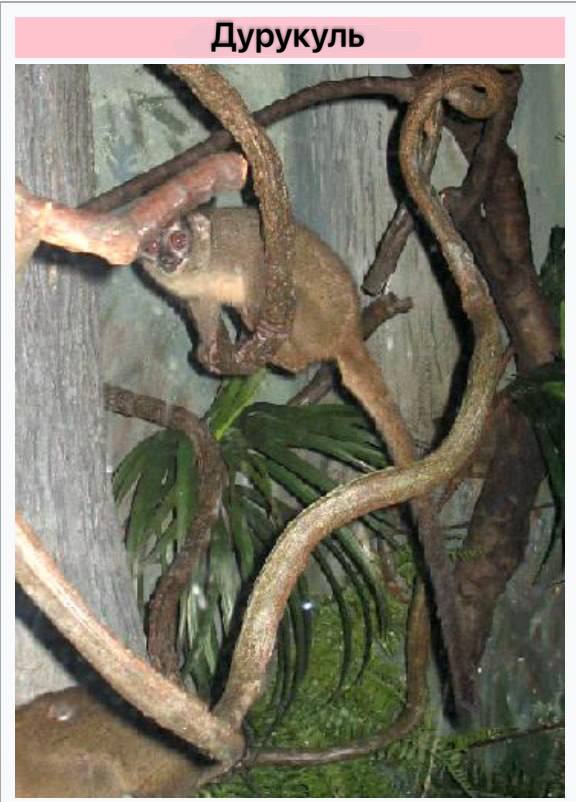 Во Всемирный день борьбы с ненормативной лексикой предлагаем экологичную альтернативу Во Всемирный день борьбы с ненормативной лексикой предлагаем экологичную альтернативу