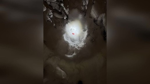 ������������ ����������� ��������� ��������������� �� ����������