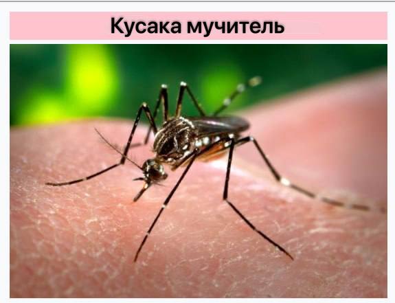 Во Всемирный день борьбы с ненормативной лексикой предлагаем экологичную альтернативу Во Всемирный день борьбы с ненормативной лексикой предлагаем экологичную альтернативу