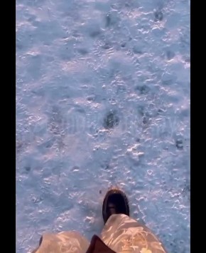 ������� �������: ���� �� ���������