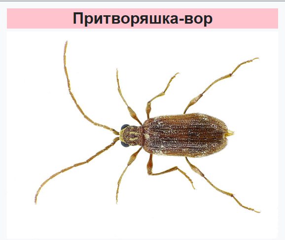 Во Всемирный день борьбы с ненормативной лексикой предлагаем экологичную альтернативу Во Всемирный день борьбы с ненормативной лексикой предлагаем экологичную альтернативу