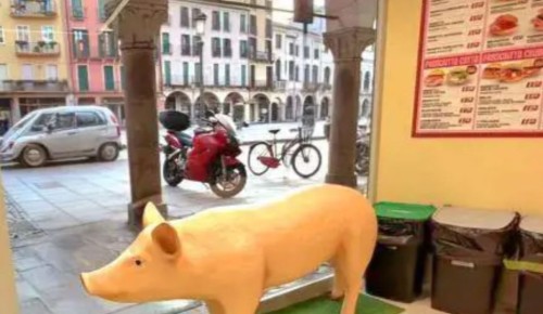 ������ �������: ������ �����