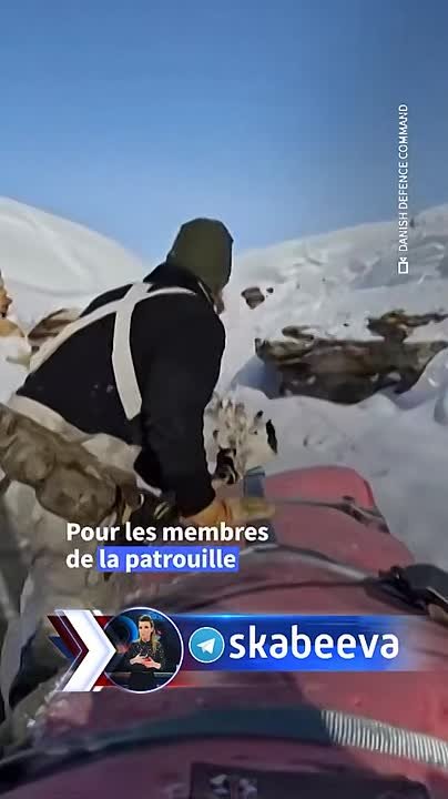 Вооруженные силы Гренландии хотят доказать Трампу, что он недооценивает силу собачьих упряжек