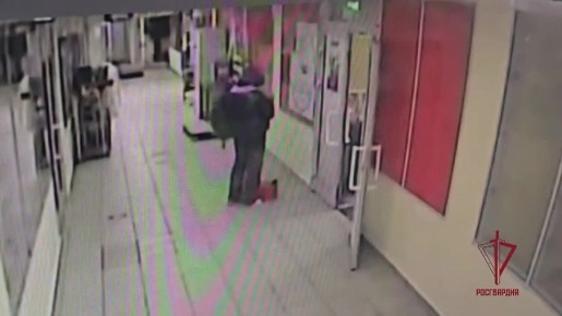 ���� ������ ������: ��� ���������� ������������ ���������� ��������� � ������������