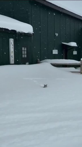 Как мы добираемся на работу после вчерашнего снегопада