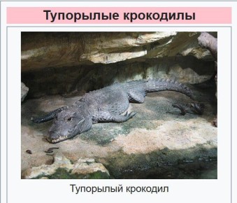 �� ��������� ���� ������ � ������������� �������� ���������� ����������� ������������