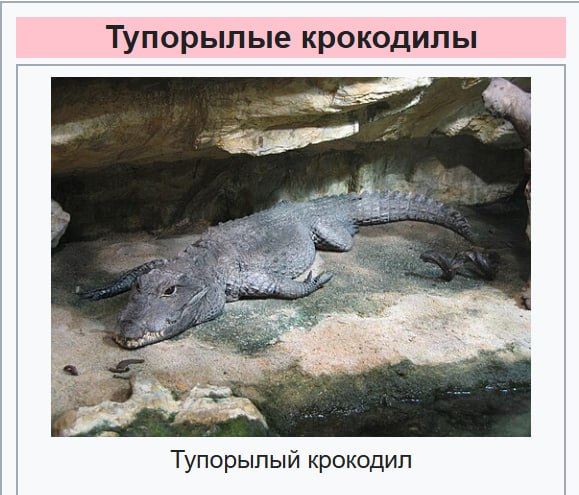 Во Всемирный день борьбы с ненормативной лексикой предлагаем экологичную альтернативу