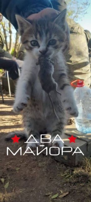 ��� ������: ��� ���������� ��� �������������, �������� � ����� �������� ����������