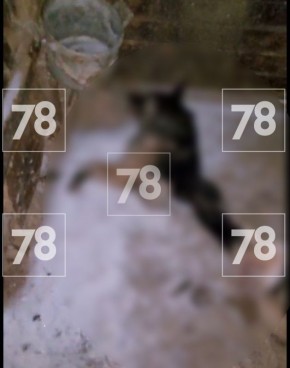 ������� ����� ������� � ������ ��� �������� ��� �����������