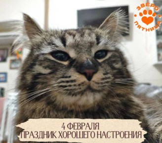 ��������� ����� ������: ������� ���� ���� � ������� ����������