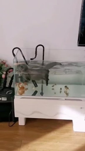 ������� ��������. � ������ ��������� � ������ ����������