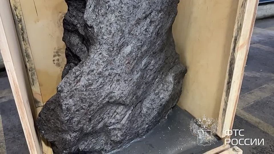 � ����� ���������� ����������� ����������� "����������", � ����� ��������