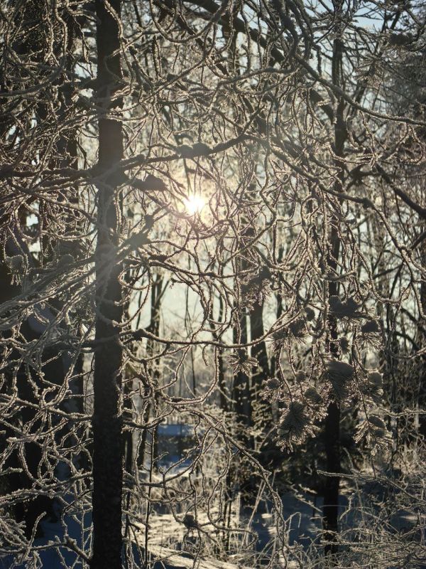 ������ ������. ����� ����������, ��� ����� ��������� � ��� ������ ���