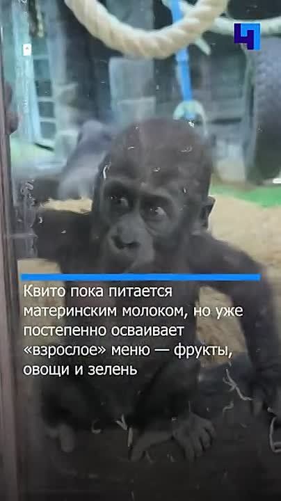 � ���������� �������� �������� ������ ���� �������� ������� �����