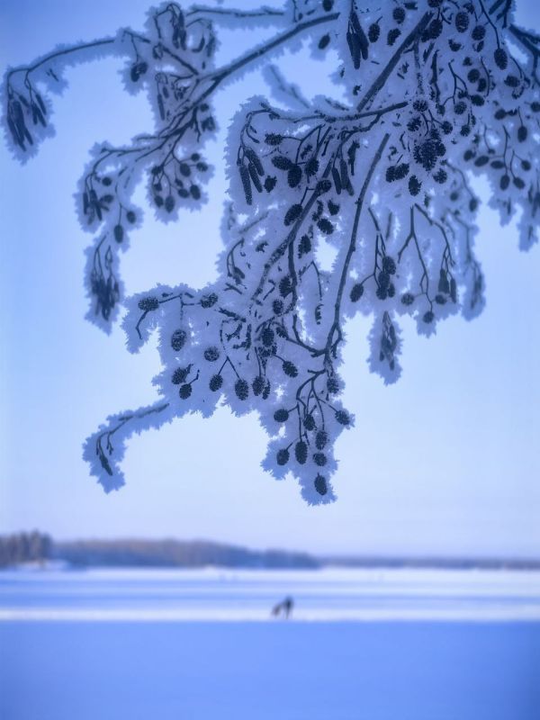 ������ ������. ����� ����������, ��� ����� ��������� � ��� ������ ���