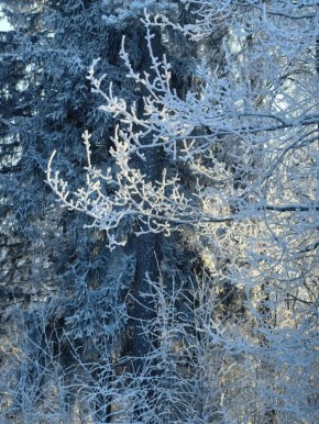 ������ ������. ����� ����������, ��� ����� ��������� � ��� ������ ���