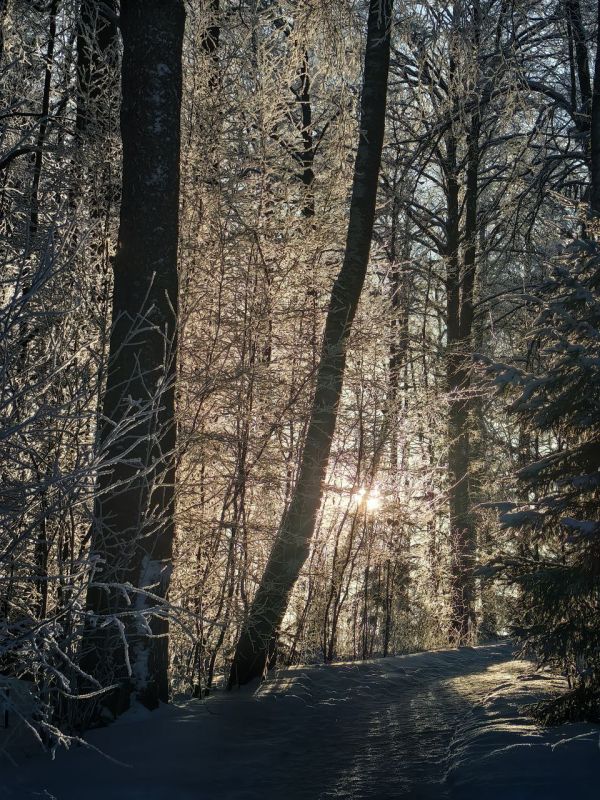 ������ ������. ����� ����������, ��� ����� ��������� � ��� ������ ���