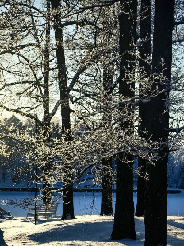 ������ ������. ����� ����������, ��� ����� ��������� � ��� ������ ���