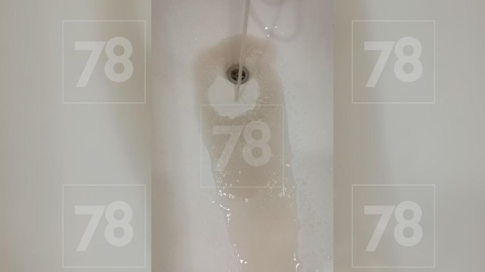 ������ � ����� �������� ���� ����� �� ������ � ��������� �� ���-������ ���������� � ������ �������� �� �������� � ������� ����� ��� � ���������� �������