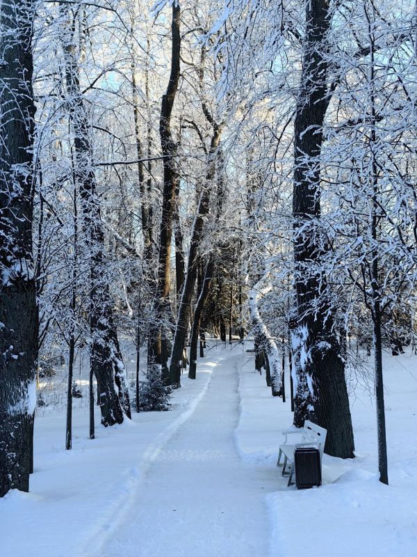 ������ ������. ����� ����������, ��� ����� ��������� � ��� ������ ���