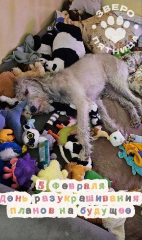 ���������� �� ���� ���:. 1 ����� ��� ����� ������ �����, ������������ � ������