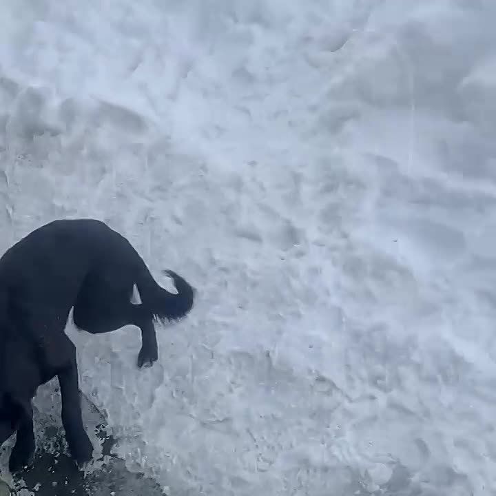 ����� �� ������ ������������ �������� � ������ � ��-�� ������� �������� � �������� �� ���� ������� ������