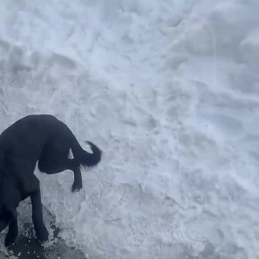 ����� �� ������ ������������ �������� � ������ � ��-�� ������� �������� � �������� �� ���� ������� ������