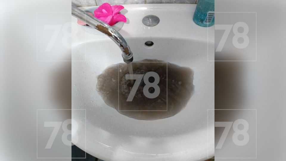 ������ � ����� �������� ���� ����� �� ������ � ��������� �� ���-������ ���������� � ������ �������� �� �������� � ������� ����� ��� � ���������� �������