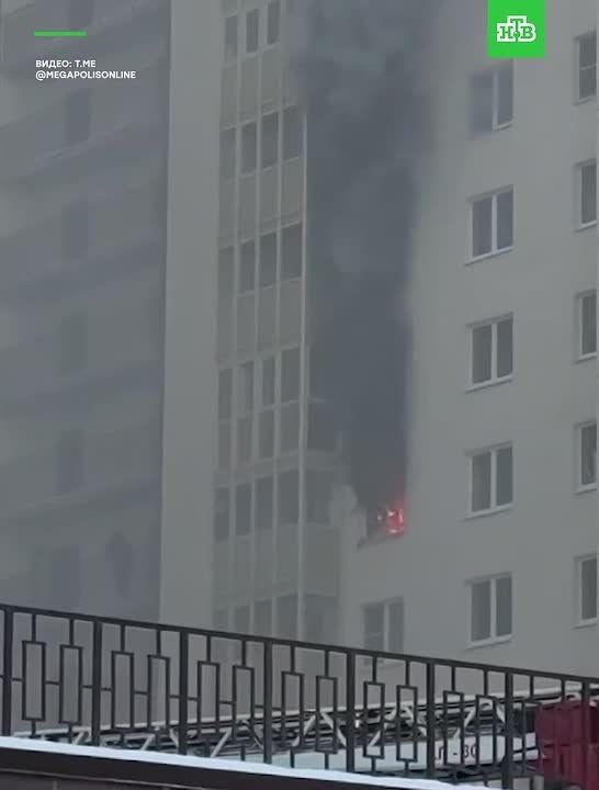 �� ����� ���������, 84/1 ������ ����� � ������������� ��������