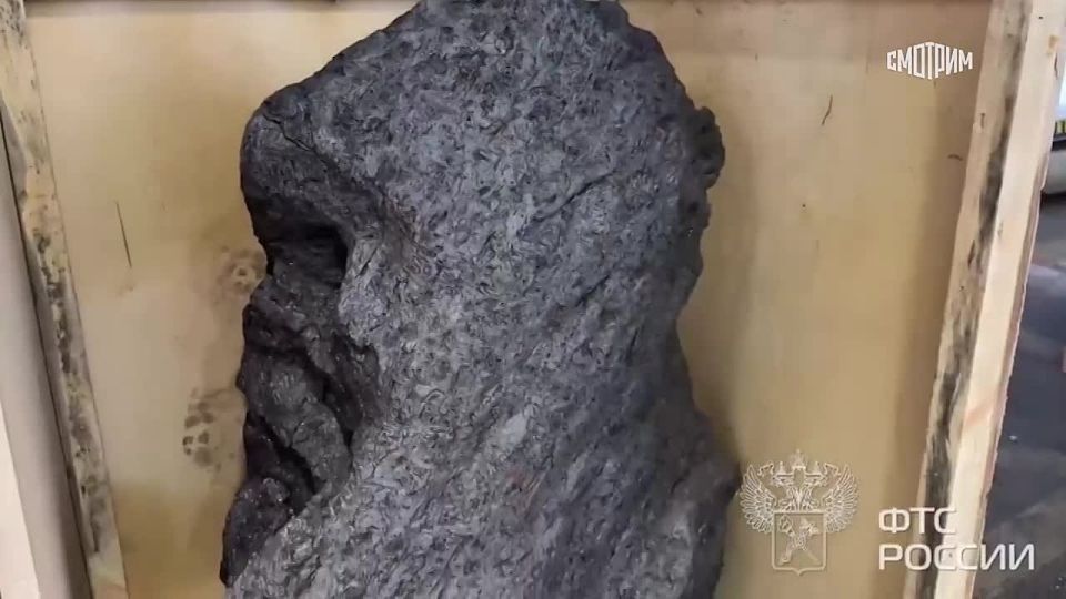 ����������� �������� ������� �� ������ � �������������� ������� ��������� ����� 2,5 �����