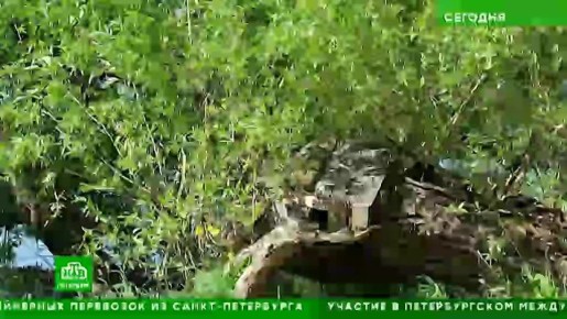 � ��������� ��������� ������������� ������� ������� ������ �� ������� ������� �� � ������������ �����