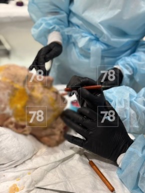 ������������ � ������ �� ��������������� �������� ����� �������������� � ��������, ������������ ��������� ���������������