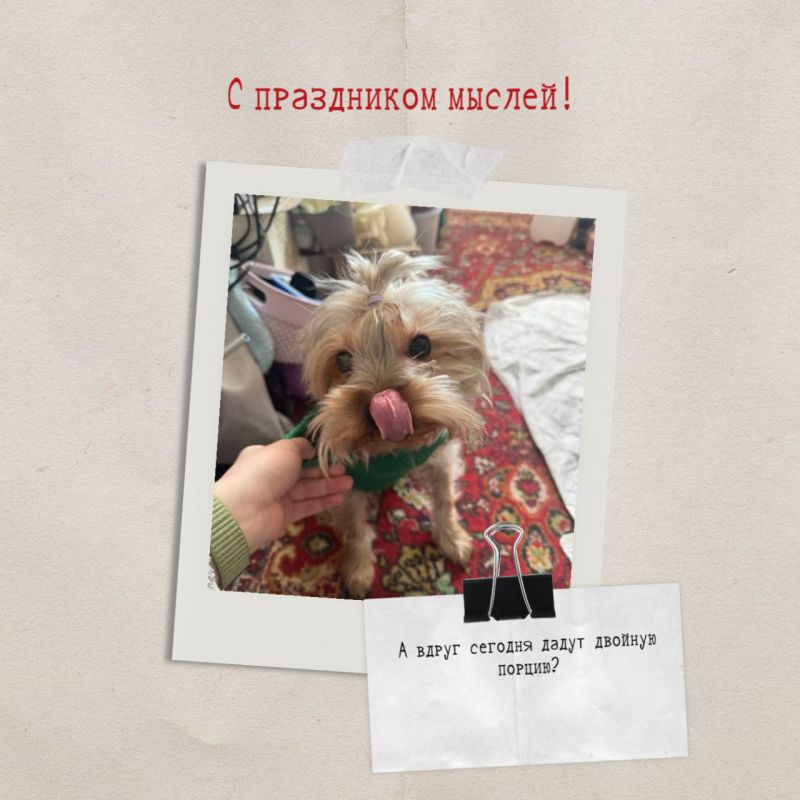 ������� ��������, ��������� ������������� ��� ������