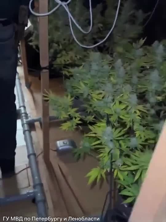 ������ ��������, �� ������� �� ���