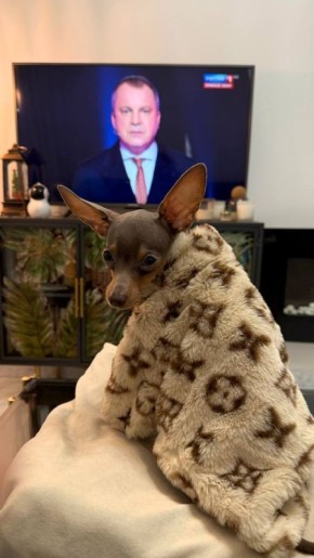 ����� ������� �������