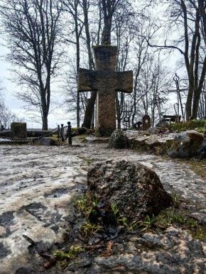 ������� ���������� ��������