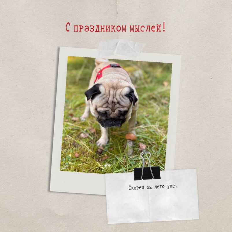 ������� ��������, ��������� ������������� ��� ������