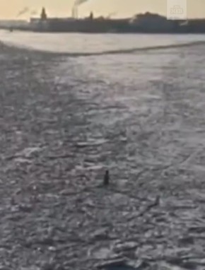 ����������� ���� �� ����� ������������� ������� ������� �� ���� ����