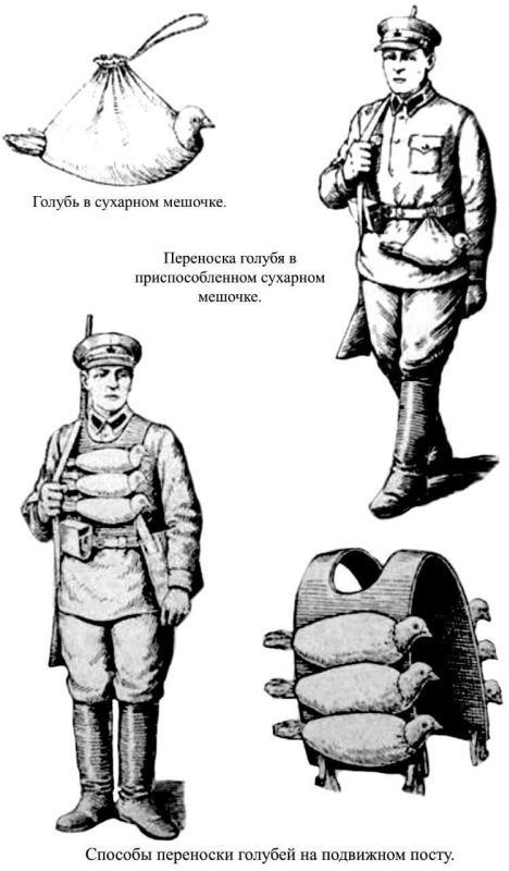 ������� ��������: ���������, � ������ �� �������� �������?