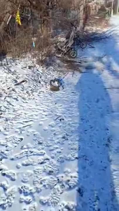 Сбор убитых ВСУшников в Красном Лимане