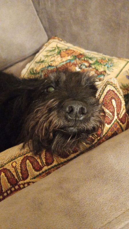 ������ ������: ������ ��� ��� ������� �� �����