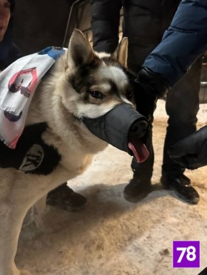 � ������� ���� ������ �������� ����������� ��� �� ������ ��������